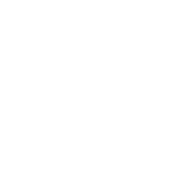 ce logo Sunnyvale